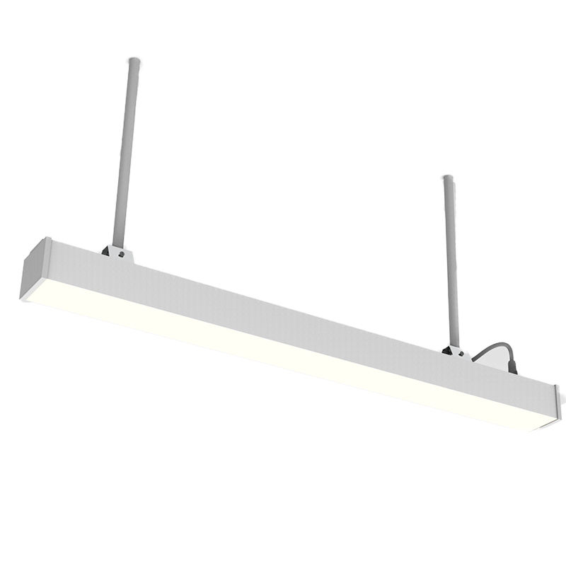 suspended side view.jpg